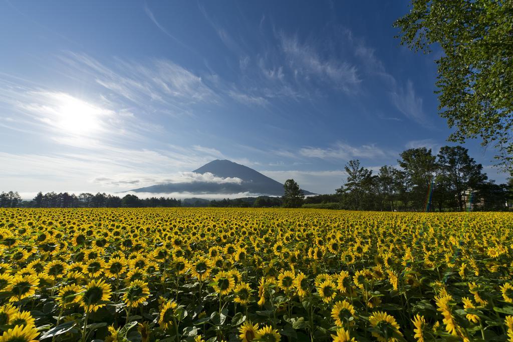 Kimamaya By Odin Niseko Exterior photo
